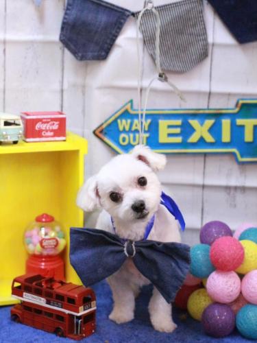 20230418大吉くん